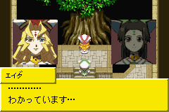 Tales of the World - Narikiri Dungeon 2 (Japan) Cover